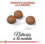 ROYAL-CANIN-MEDIUM-ADULT-DIGESTIVE--PERRO-DOMICILIO-BOGOTA