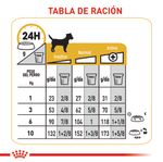 ROYAL-CANIN-MINI-ADULT-DERMA-PERRO-BOGOTA-DOMICILIO