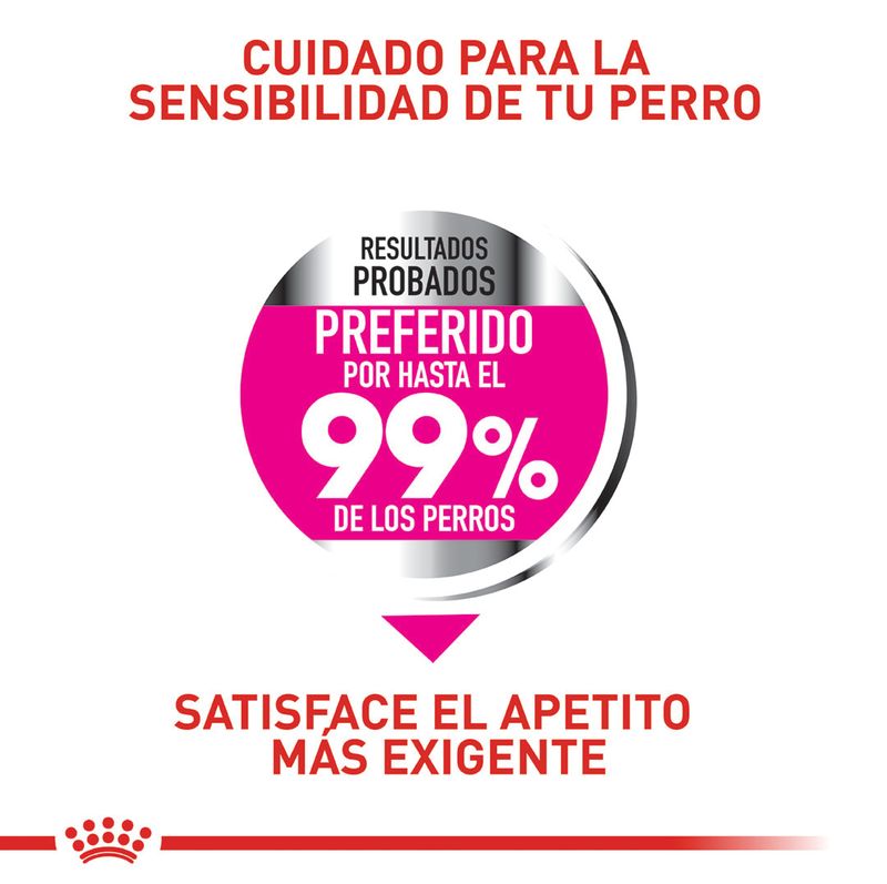 ROYAL-CANIN-MINI-ADULT-EXIGENT-DOMICILIO-PERRO
