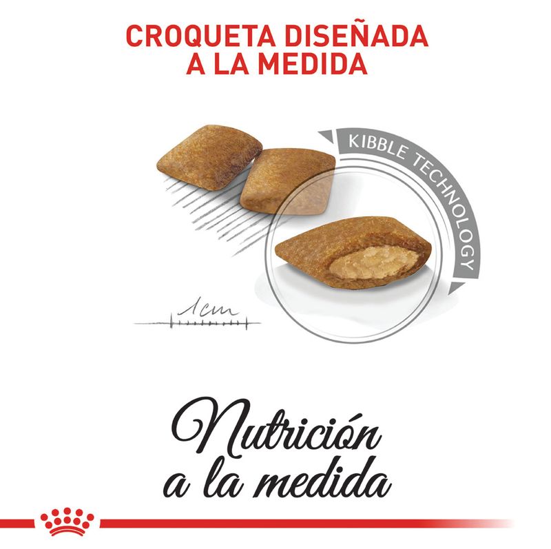 ROYAL-CANIN-MINI-ADULT-EXIGENT-PERRO-DOMICILIO