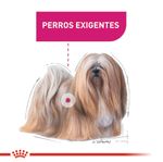 ROYAL-CANIN-MINI-ADULT-EXIGENT-PERRO-ALIMENTO-DOMICILIO
