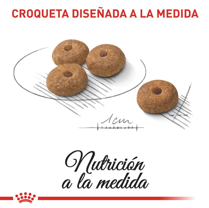 ROYAL-CANIN-MINI-ADULT-STERILISED-AD-PERRO-BOGOTA-DOMICILIO