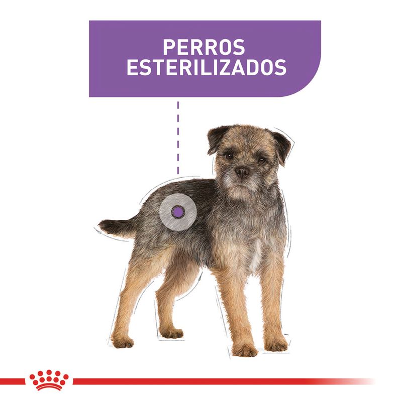 ROYAL-CANIN-MINI-ADULT-STERILISED-AD-PERRO-BOGOTA-DOMICILIO