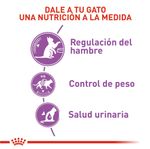 ROYAL-CANIN-FELINE-APETITE-CONTROL-STERILISED-ALIMENTO-BOGOTA-DOMICILIO