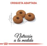 ROYAL-CANIN-FELINE-APETITE-CONTROL-STERILISED-ALIMENTO-BOGOTA-DOMICILIO