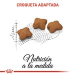 ROYAL-CANIN-FELINE-KITTEN-STERILISED-DOMICILIO-BOGOTA-ALIMENTO
