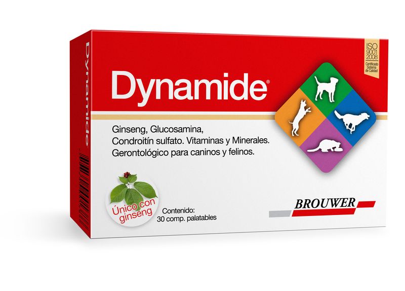DYNAMIDE-Gerontológico-animals-veterinaria
