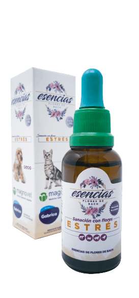 ESENCIA-FLORAL-ESTRES-GOTAS-