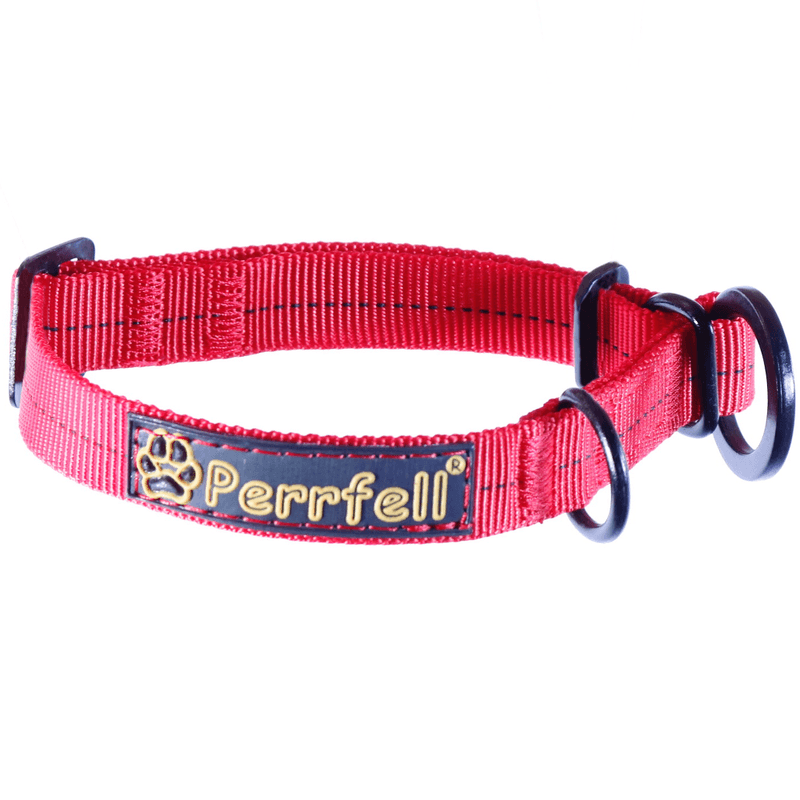 COLLAR-PUPPY-NECKLACE
