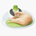 CAT-IT-CENTRO-DE-MASAJES-