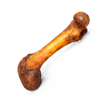 HUESO-FEMUR-CERDO-