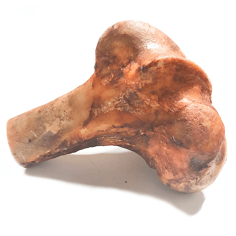 HUESO-FEMUR-RES-MEDIO---CALAMBOMBO-