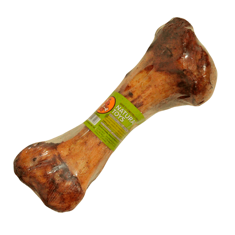 HUESO-FEMUR-RES-MEDIANO-DELANTERO-HUMERO