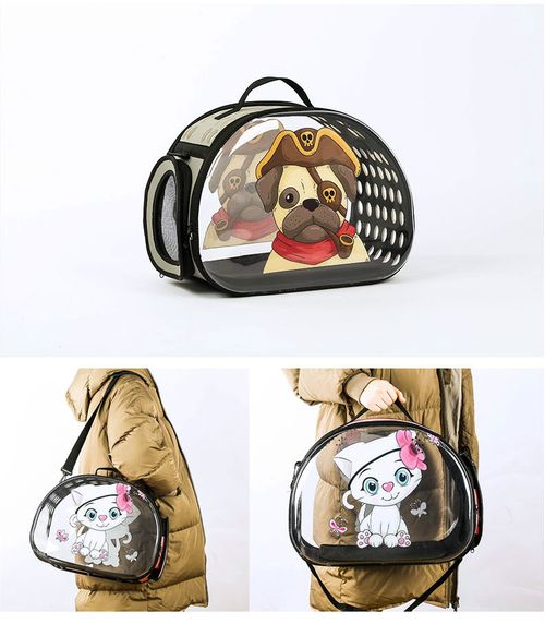 Bolso Plegable Transparente Con Dibujos - Pb11B