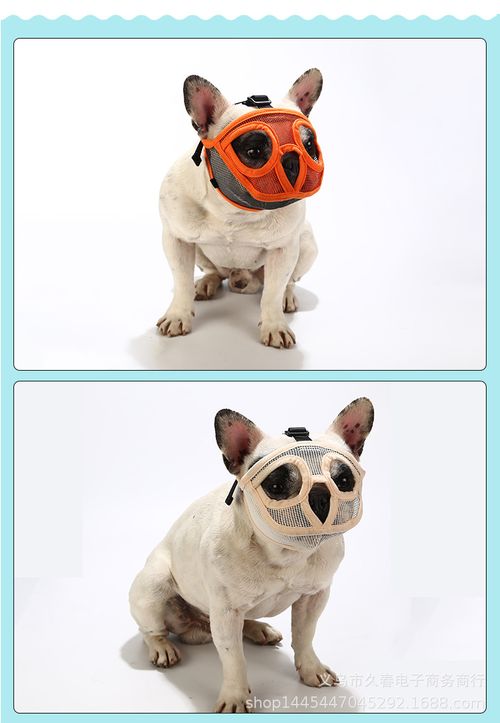 Bozal Para Bulldog L - Pa24L