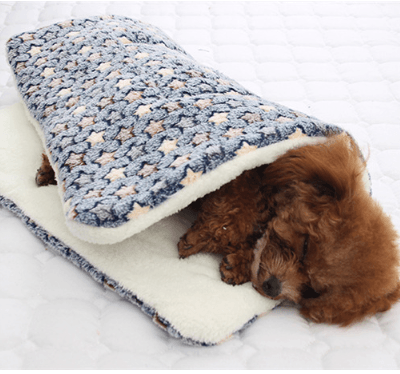 Cama Cojin Con Disenos