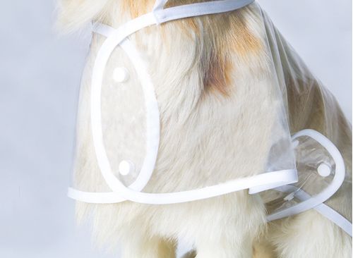 Impermeable Transparente