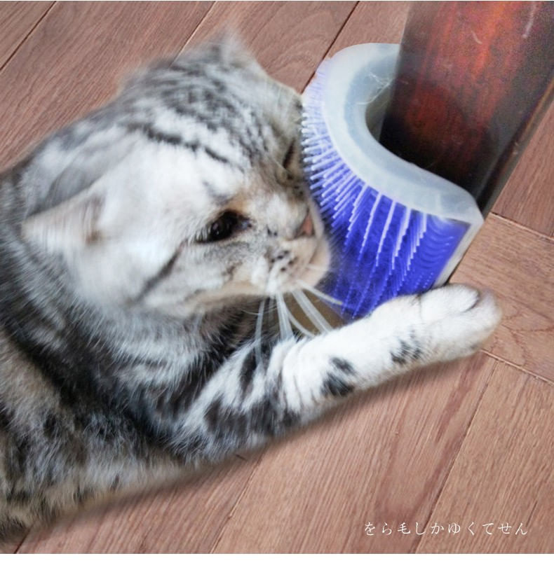 3920