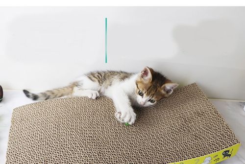 Rascadores De Carton Hueso - Pj31Hueso