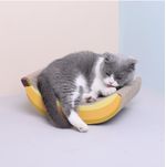 3781