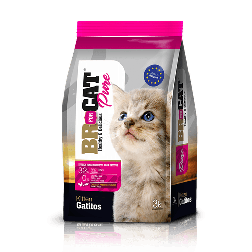 Br4Cats Kitten Cats