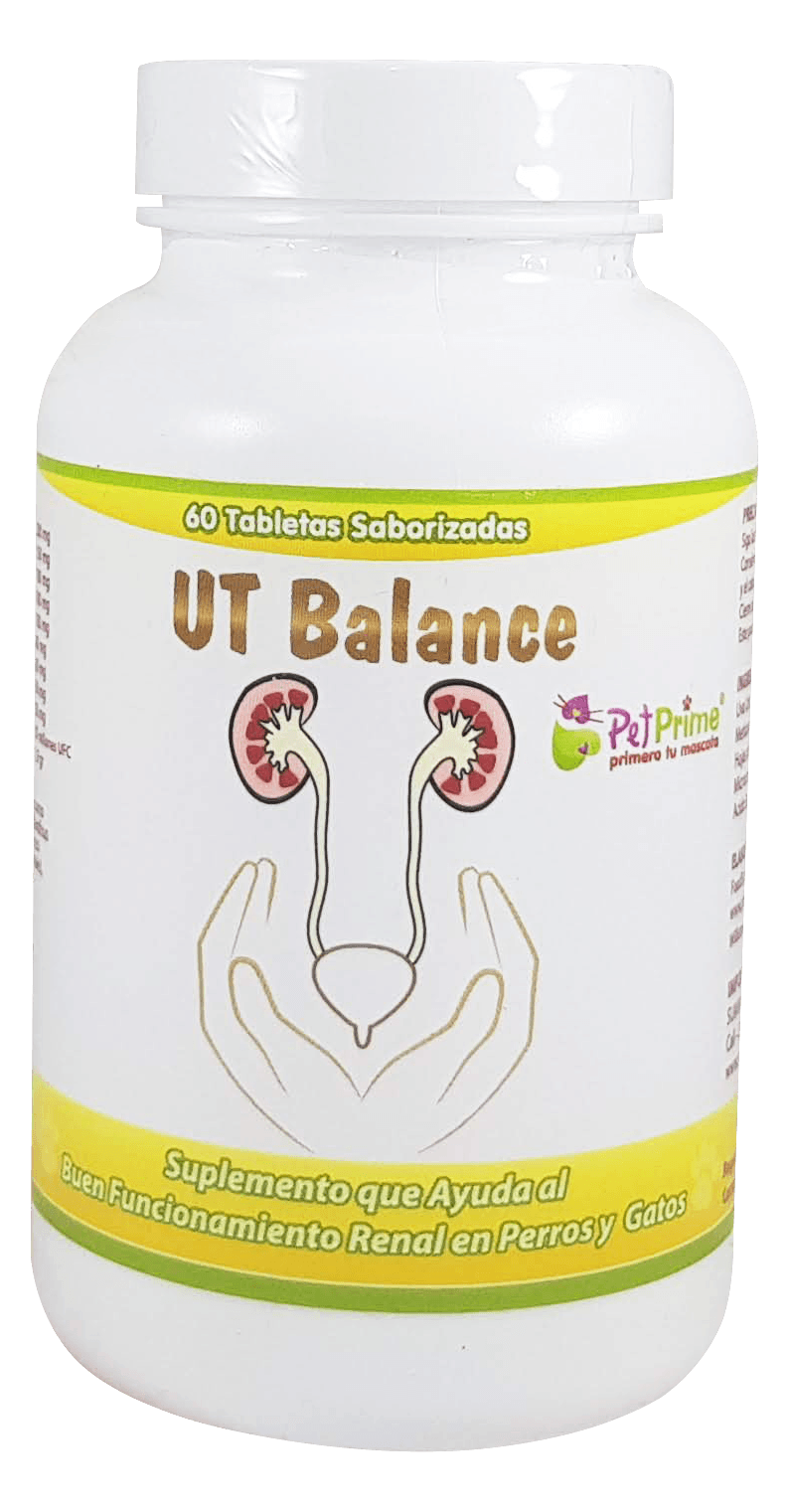 SUPLEMENTO-UT-BALANCE-