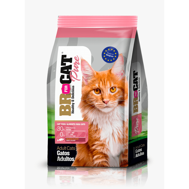 ALIMENTO-PARA-GATO-BR-FOR-CATS-ADULTO-SALMON