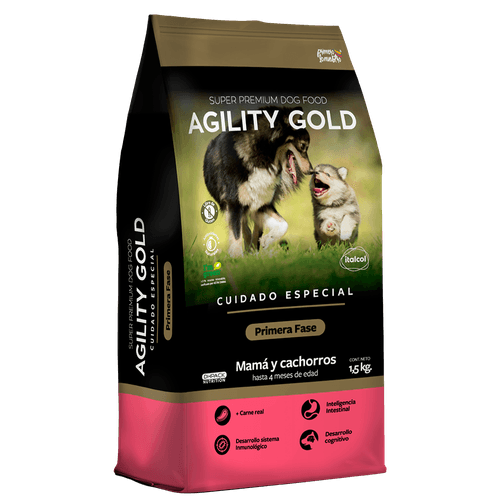 Agility Gold Primera Fase