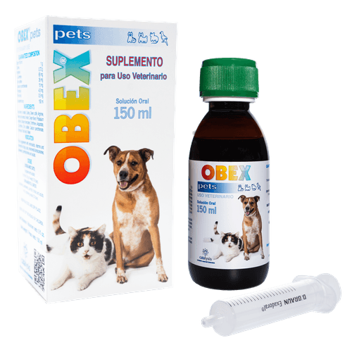 Obex  Oral  X 150 Ml