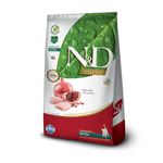 ND-PRIME-FELINE-FRANGO-KITTEN