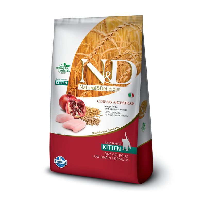 ND-ANCESTRAL-FELINE-FRANGO-KITTEN