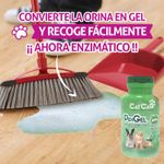 limpieza-orina-mascotas
