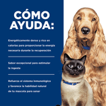 CANINE-FELINE-A-D-LATA-X-156-GR-GATO-COMIDA-DOMICILIO