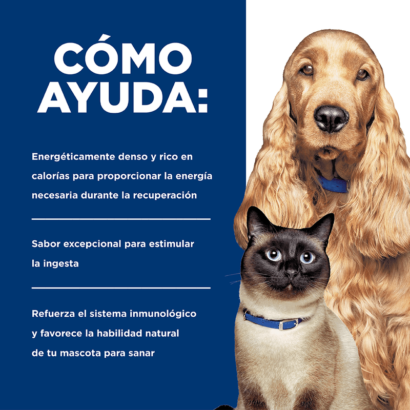 CANINE-FELINE-A-D-LATA-X-156-GR-GATO-COMIDA-DOMICILIO