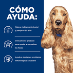 CANINE-ADULTO-Z-D-ULTRA-ALLERGEN-DOMICILIO-PERRO-COMIDA