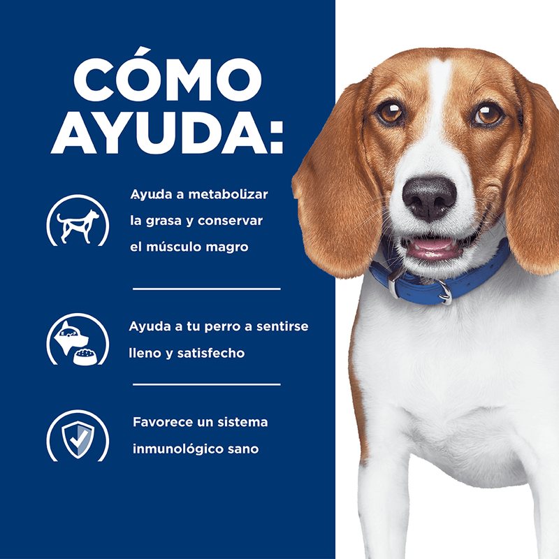 HILLS-CANINE-R/D-PERRO-COMIDA-DOMICILIO