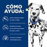 HILLS-CANINE-U-D-COMIDA-PERRO-DOMICILIO