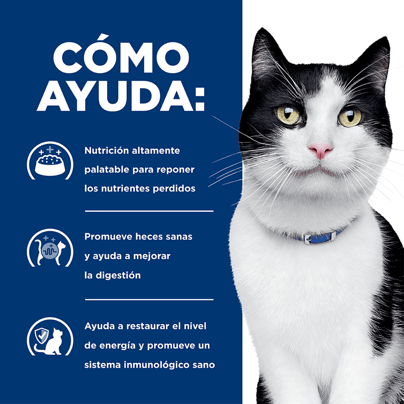 HILLS-FELINE-ADULTO-I/D-COMIDA-GATO-DOMICILIO
