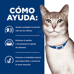 HILLS-FELINE-ADULTO-K/D-COMIDA-DOMICILIO-GATO