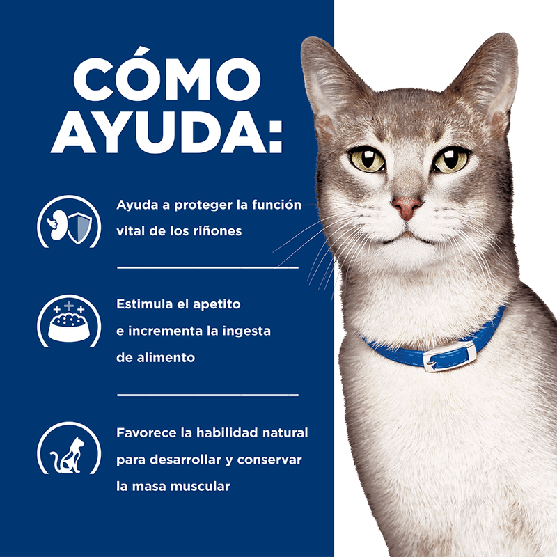 HILLS-FELINE-ADULTO-K-D-COMIDA-DOMICILIO-GATO