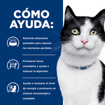 HILLS-FELINE-I/D-LATA-COMIDA-GATO-DOMICILIO