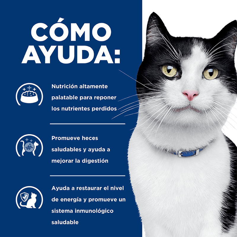 HILLS-FELINE-I/D-LATA-COMIDA-GATO-DOMICILIO