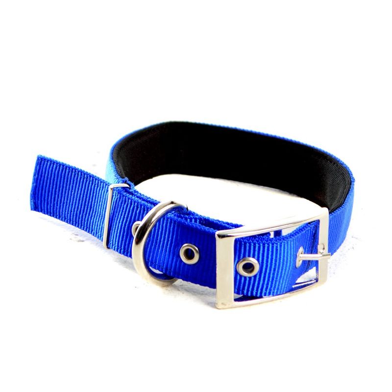 COLLAR-REATA-REFORZADO-PEQUEÑO