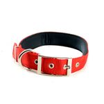 COLLAR-REATA-REFORZADA-MEDIANO