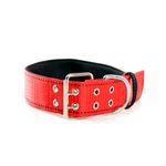 COLLAR-EXTRA-FUERTE-NYLON--RAZA-GRD