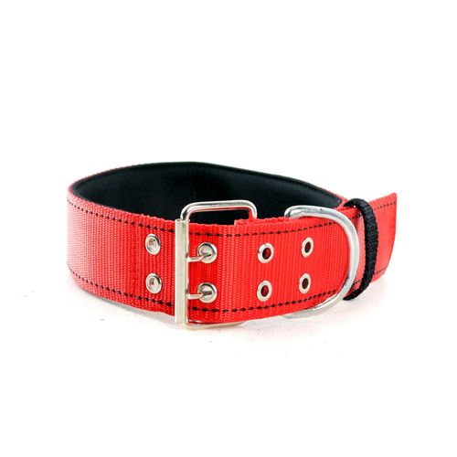 Collar  Extra Fuerte Fuerte Nylon Razas Grandes