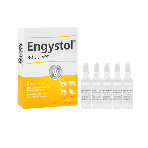 Engystol Vet -Especialidad  Caja X 5 Ampollas