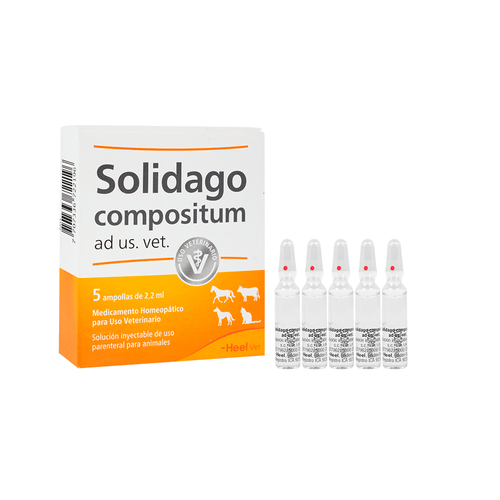 Solidago-Compositum Ad Vet Caja X 5 Amp.