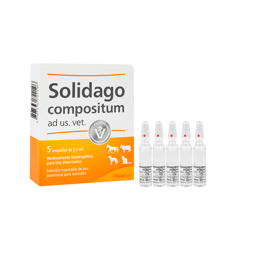 Solidago compositum ad us vet Inyectable
