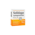 Solidago-compositum-ad-us-1-HELSOL002